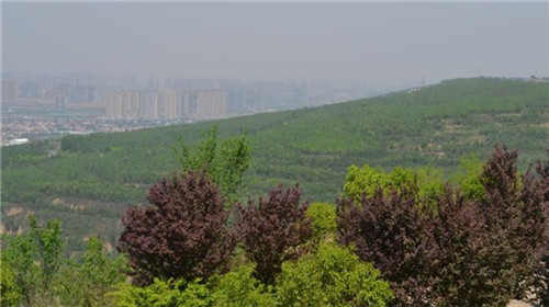 西安墓地價(jià)格多少，一般公墓多少錢一個(gè)