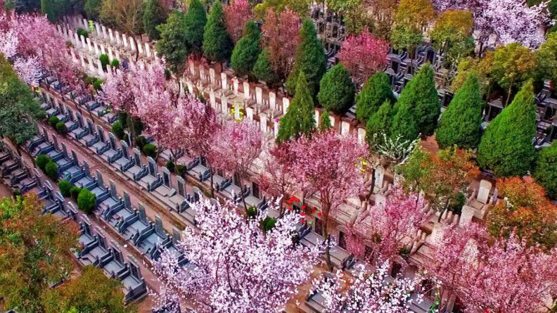 西安墓園怎么選擇地點(diǎn)-如何選擇合適的西安墓園地點(diǎn)？